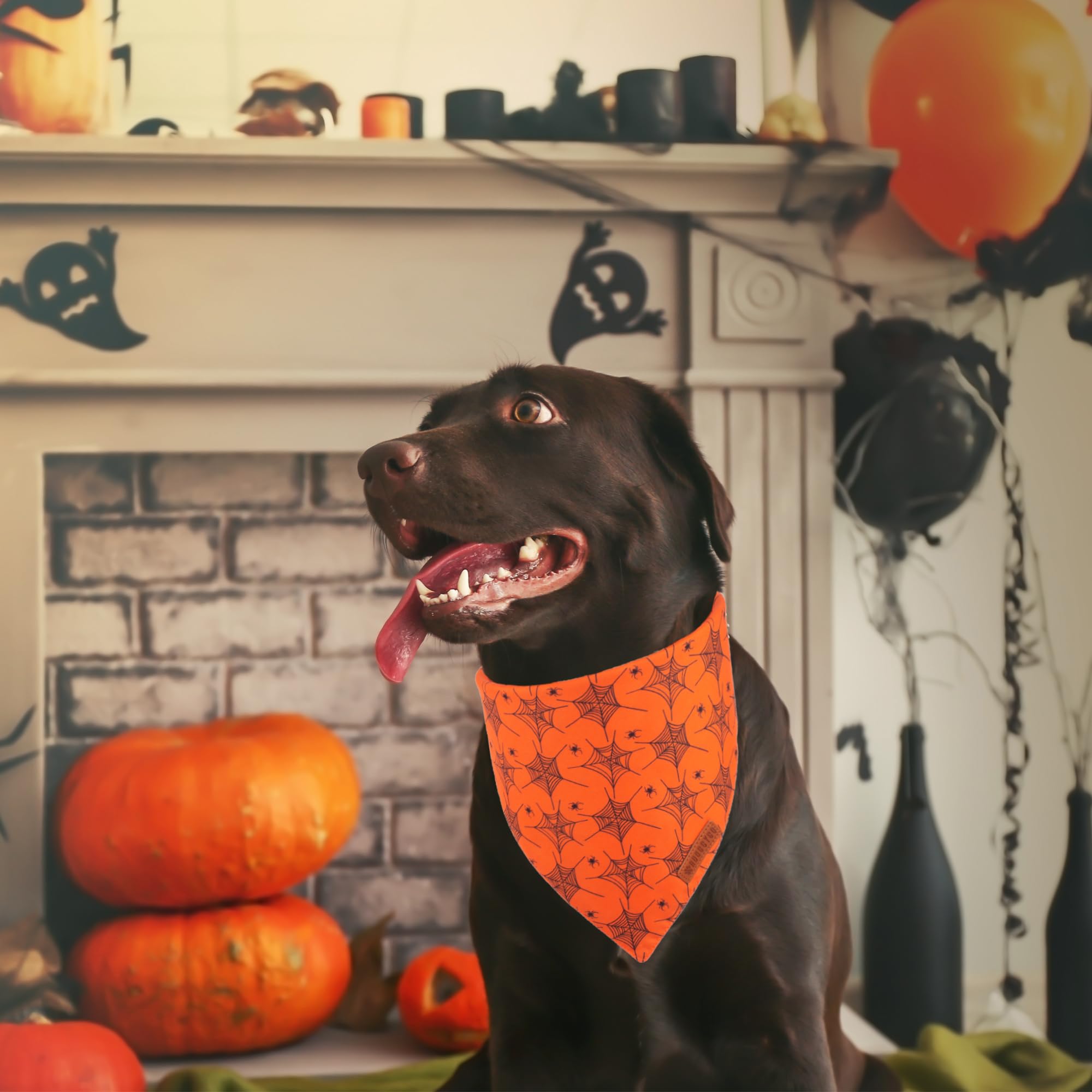 Adoggygo Halloween Dog Bandana, Spider Web Ghost Design Dog Scarf, Premium Durable Fabric, Orange Dog Halloween Bandanas For Large And Extra Large Dogs Pets (X-Large, Halloween)