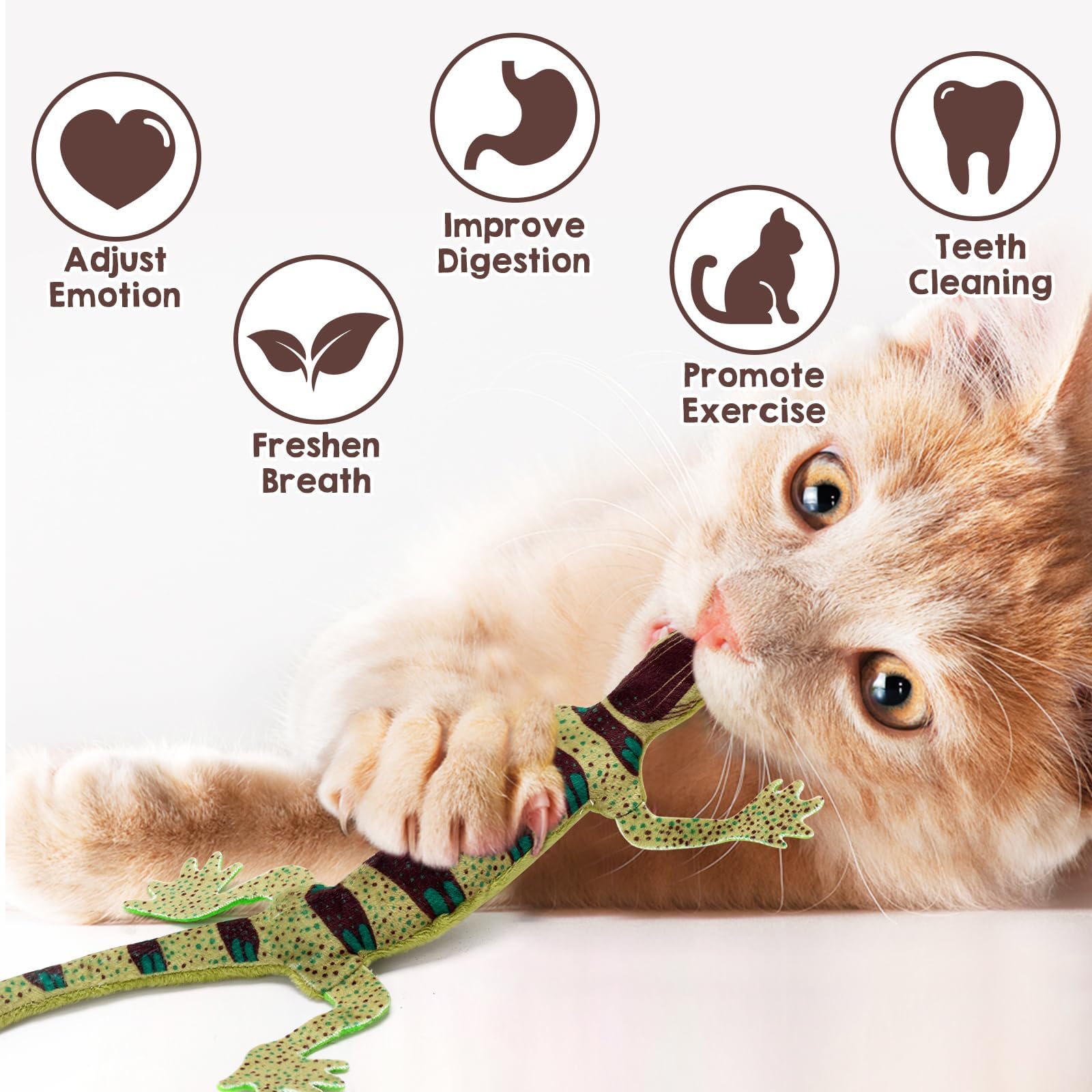 Ciyvolyeen Lizard Catnip Toys Chew Bite Resistant Toys For Indoor Cats Boredom Relief Teeth Cleaning Interactive Funny Cute Kitten Cat Lover Gifts Christmas Birthday Presents Set Of 4