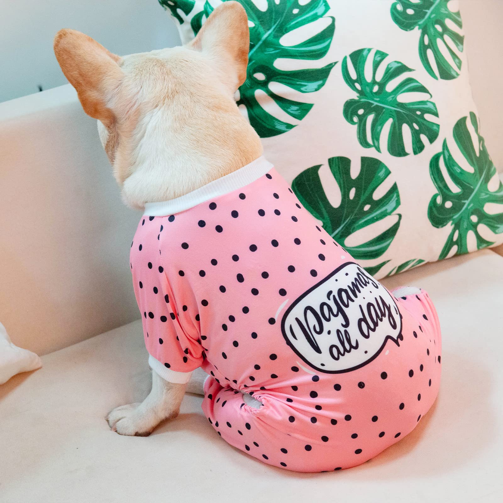 Cutebone Fun Letters Small Dog Pajamas Stretchy Puppy Pjs Soft Cat Clothes For Daily Wear Da13S