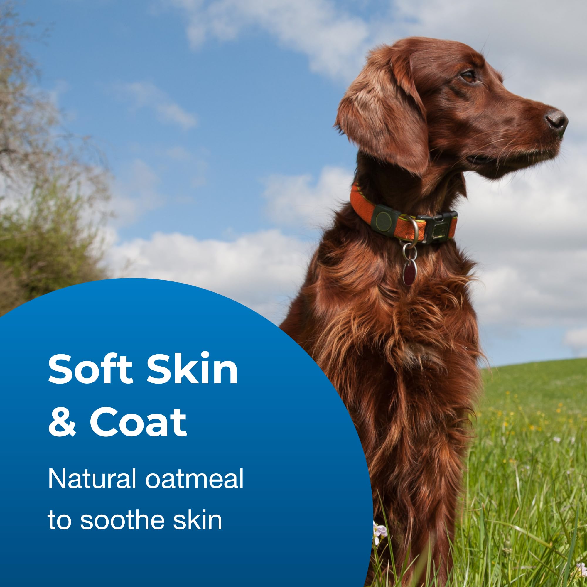 Pet-Ag Fresh ’N Clean Oatmeal ’N Baking Soda Shampoo - Tropical Fresh Scent - 64 Oz - Nurtures Dry, Itchy & Sensitive Skin With Vitamin E & Aloe - Strengthens & Repairs Coats - Soap Free