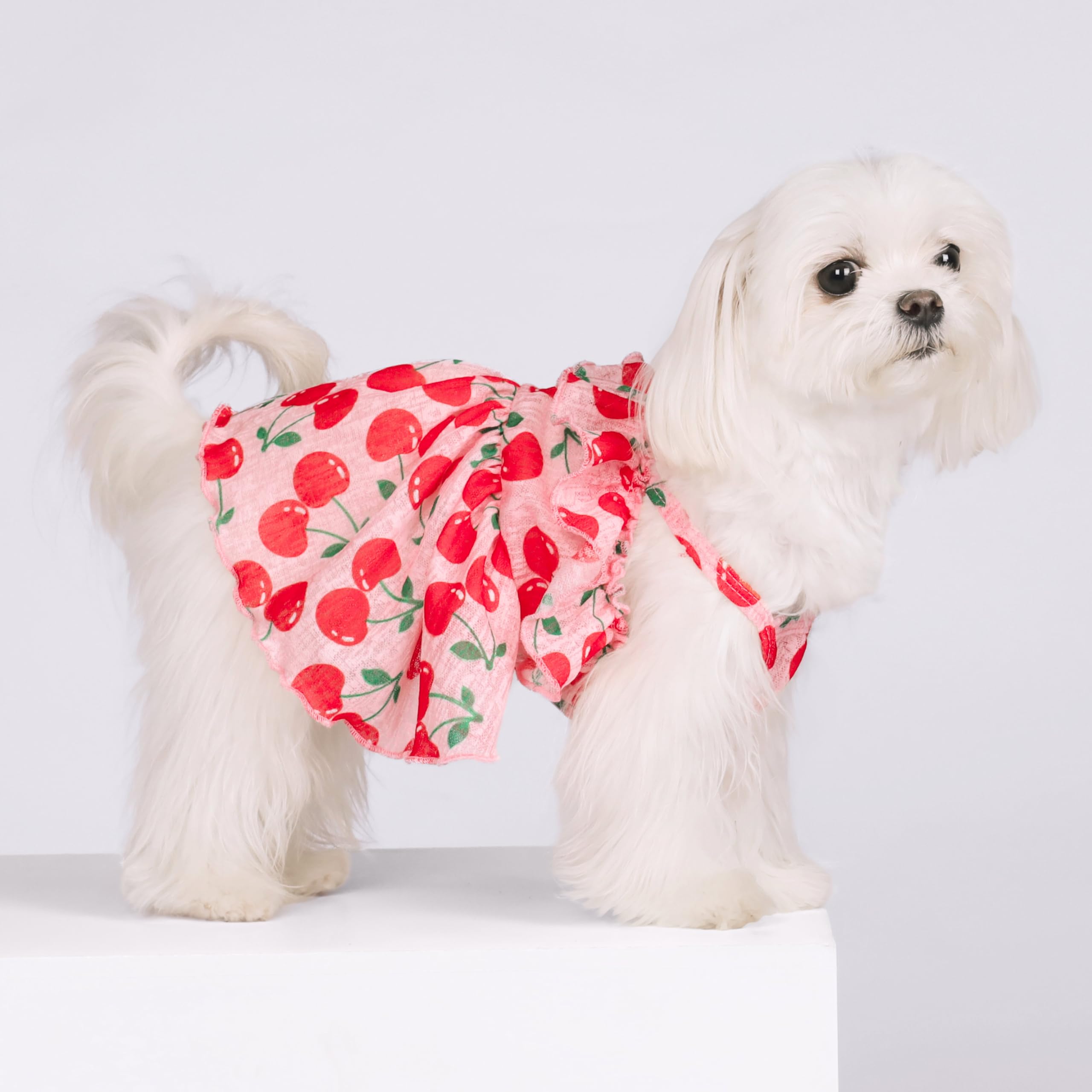 Fitwarm Cherry Dress, Clothes For Small Dogs Girl, Ruffled Hawaiian Pet Outfit, Female, Pink, Red, Medium