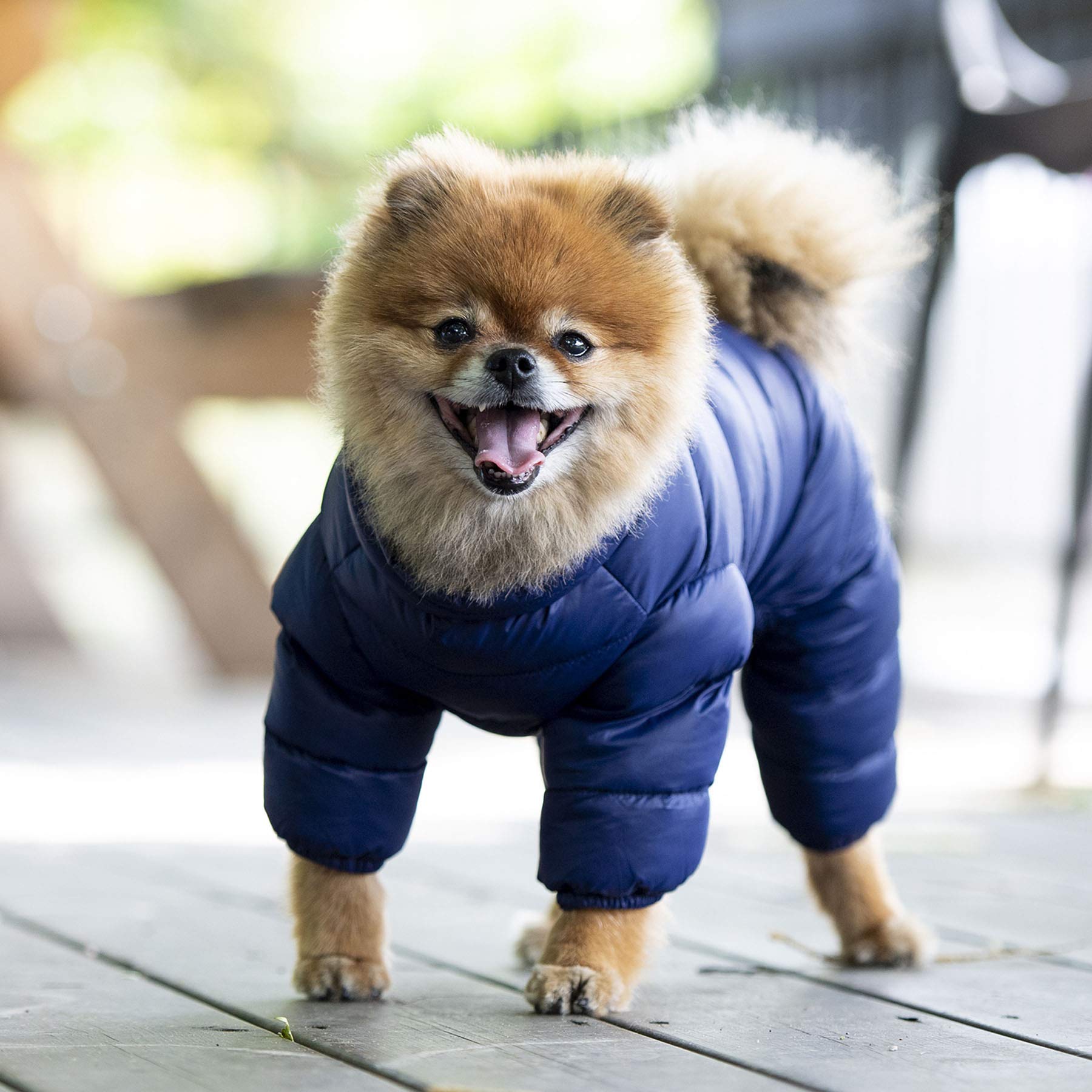 Puppia Winter Ultralight Dog Jumpsuit A Waterproof Warmth For Cold Weather Zipper Closure For Small And Medium Dogs, Navy, Small