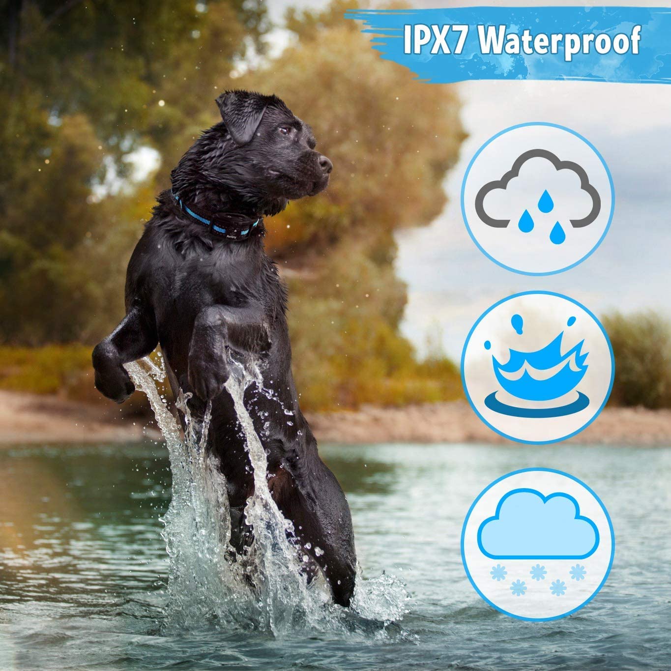 Petspy No Shock Bark Collar For Dogs Barking Control Humane Waterproof Training Device W/2 Anti-Bark Dual Vibration & Beep For S