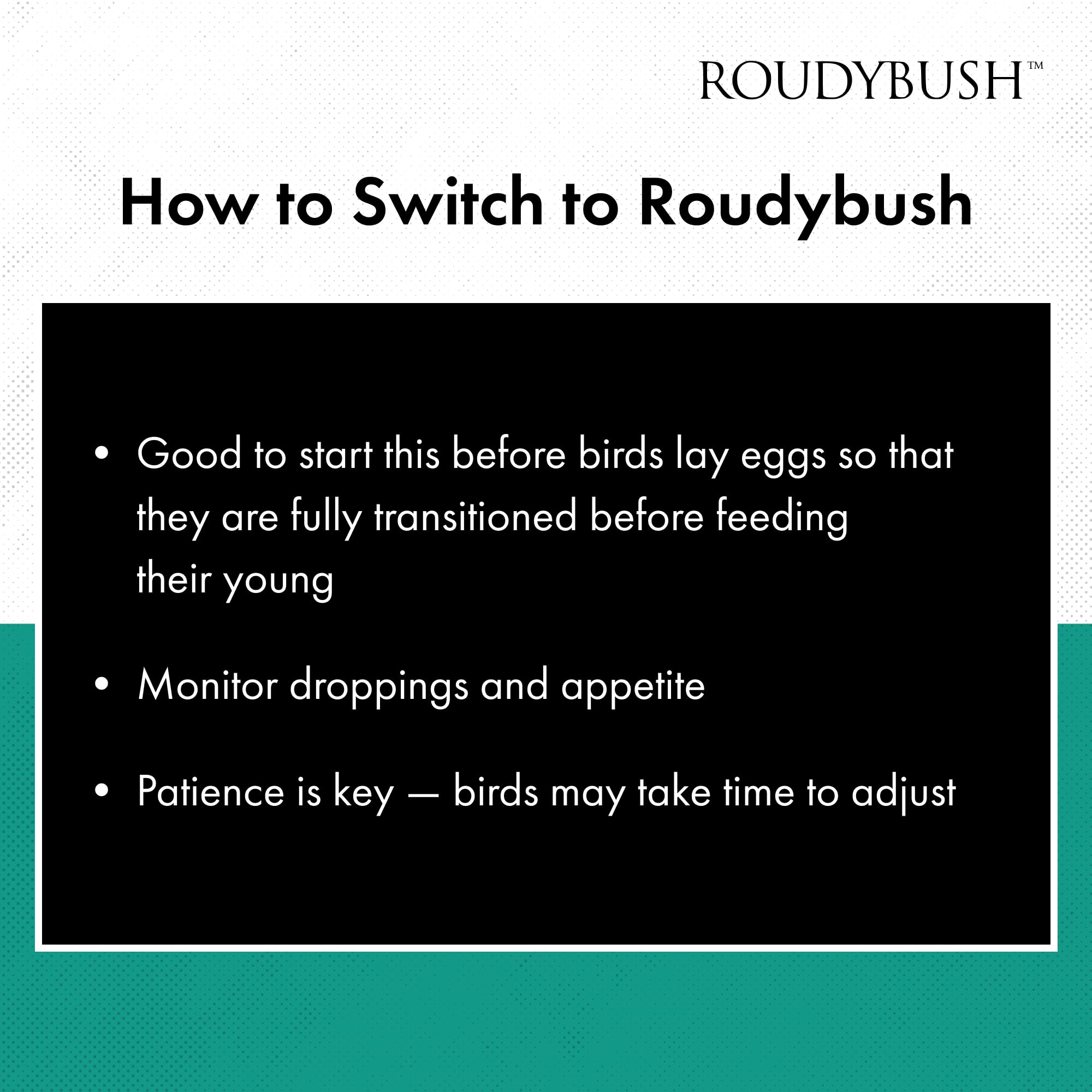 Roudybush Daily Maintenance Bird Food, Small, 44-Ounce