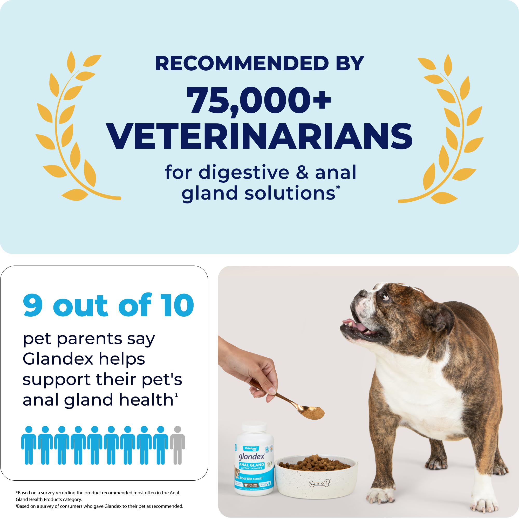 Glandex Dog Fiber Supplement Powder for Anal Glands with Pumpkin, Digestive Enzymes & Dog Probiotics for Digestive Health - Vet