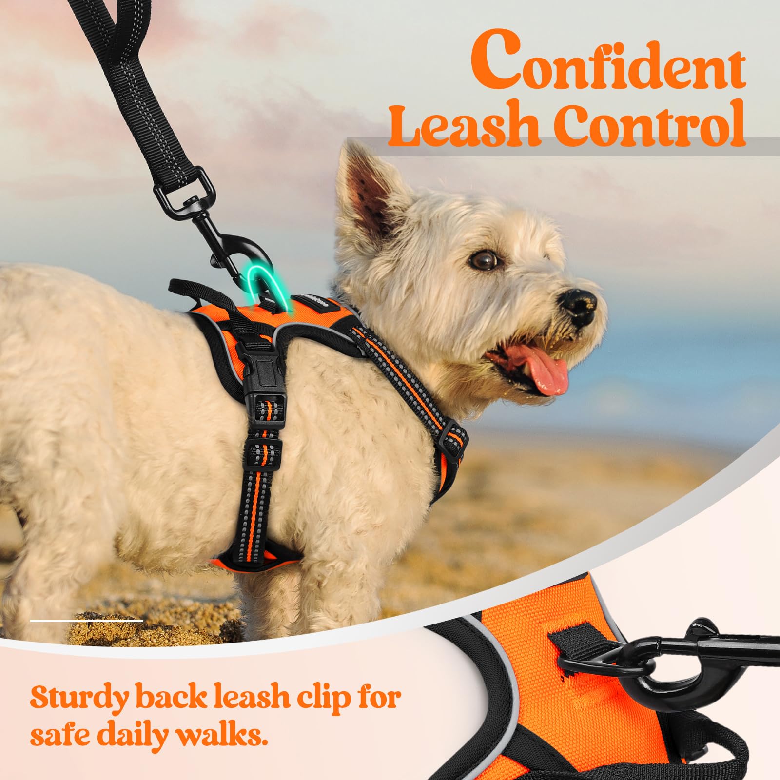 Rabbitgoo Dog Harness No Pull With 2 Leash Clips, Adjustable Soft Padded, Reflective Oxford No Choke Pet Vest With Easy Control Handle For Puppy, Orange,Xs