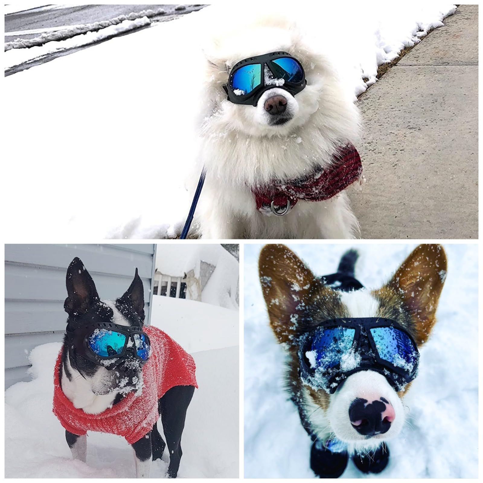 Namsan Dog Goggles For Small Dogs, Wide Nose, Soft Frame, Anti-Uv Tactical Dog Sunglasses Small To Medium Breed, Summer Driving Dog Eye Protection, Winter Snow Eyewear, Adjustable, Blue Lens