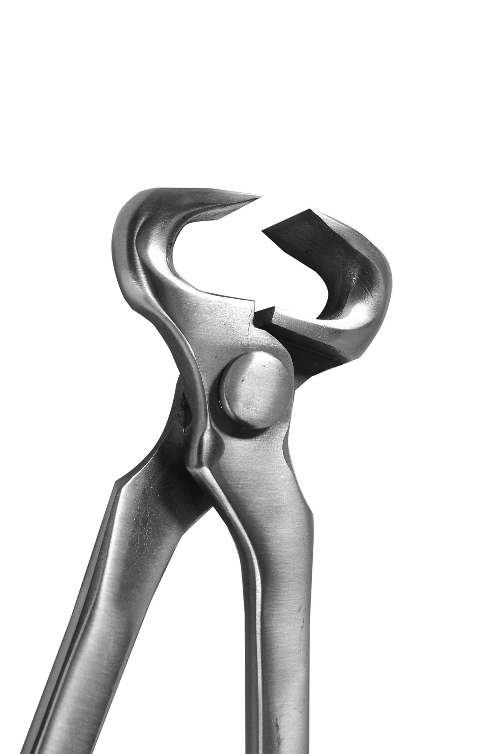 Hoof Nipper 12'' Spring Loaded Vanadium Steel Farrier Tool In Dull Finish
