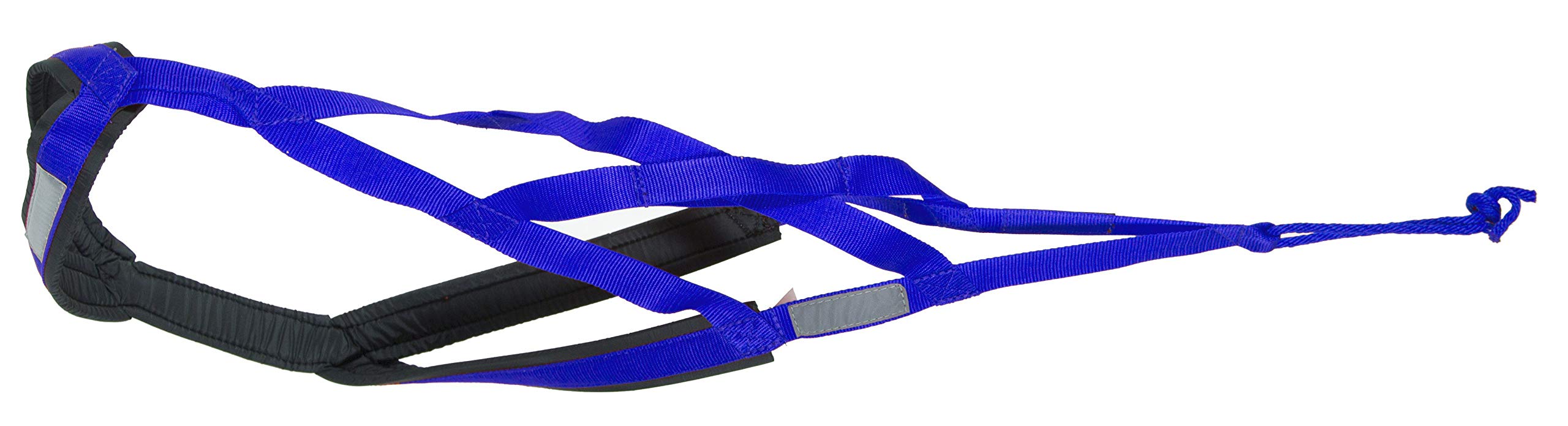 Neewa X-Back Racing Harness - Medium, Blue | High-Performance, Reflective Gear For Slim, Long-Bodied Dogs | Suitable For Canicross, Skijoring | Neck 14In, Chest 28In, Back 23In