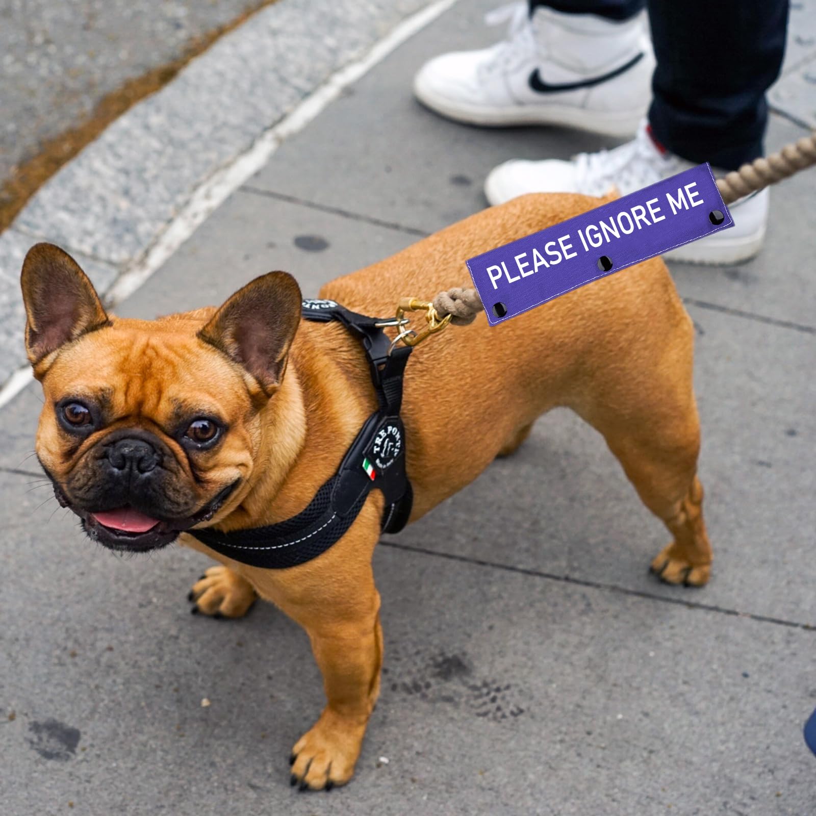 Working Dog Leash Sleeve Please Ignore Me Alert Dog Leash Wrap Social Distancing Gift(Please Ignore Me)