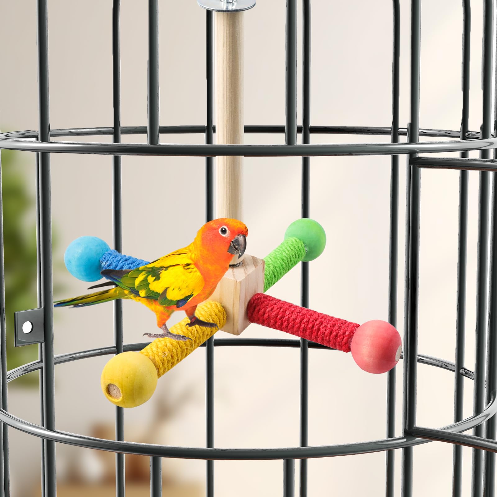 Maxqzin Bird Stand Perch Toy, Bird Training Stands For Parrots, Wood Bird Perch Stand, Parrot Cage Top Wooden Branches For Stand