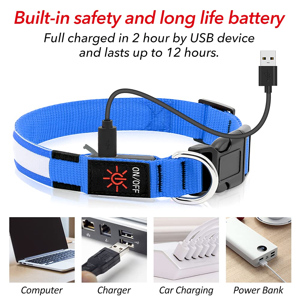 Bseen Light Up Dog Collars - Reflective Led Dog Collar, Rechargeable Dog Glow Collar, Waterproof Glowing Dog Collar Lights For Night Walking (Royal Blue, Large)