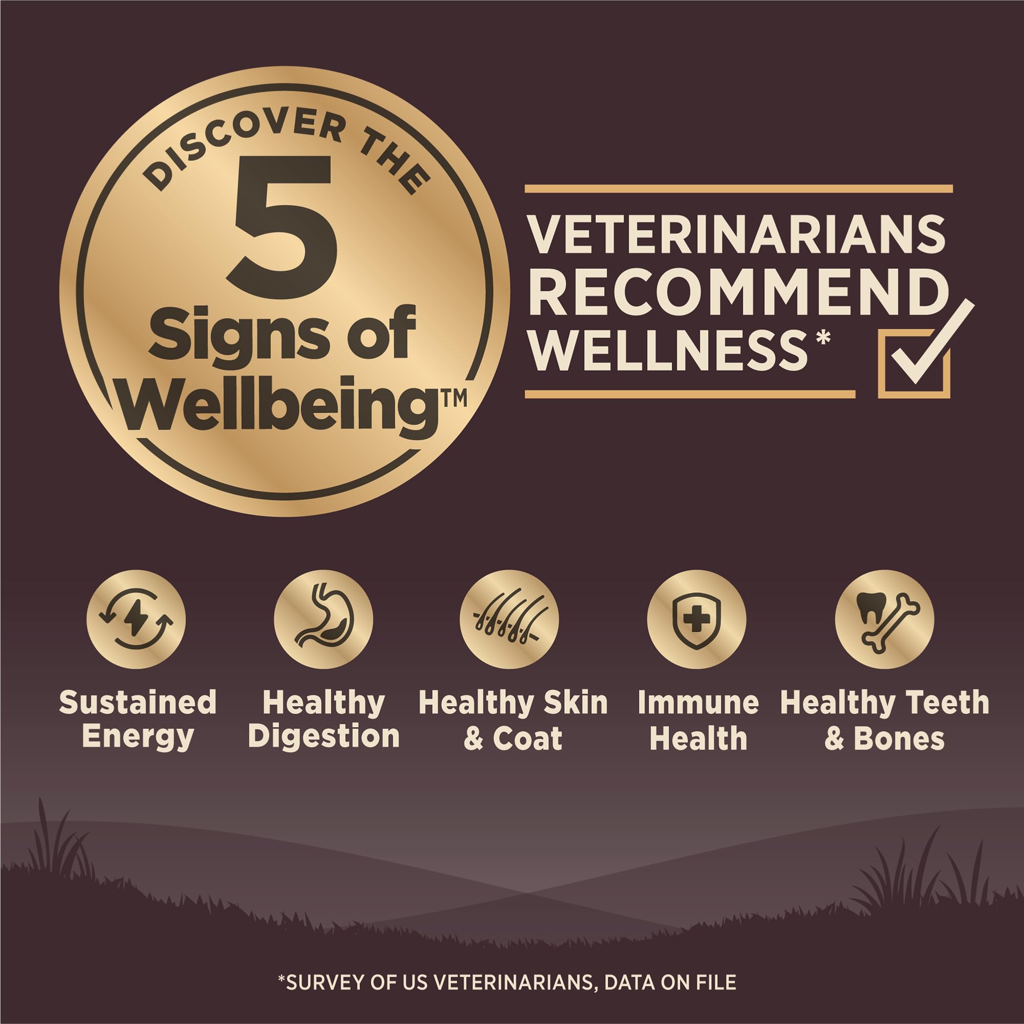 Wellness Natural Pet Food CORE Grain-Free High-Protein Small Breed Dry Dog Food, Natural Ingredients, Made in USA with Real Meat