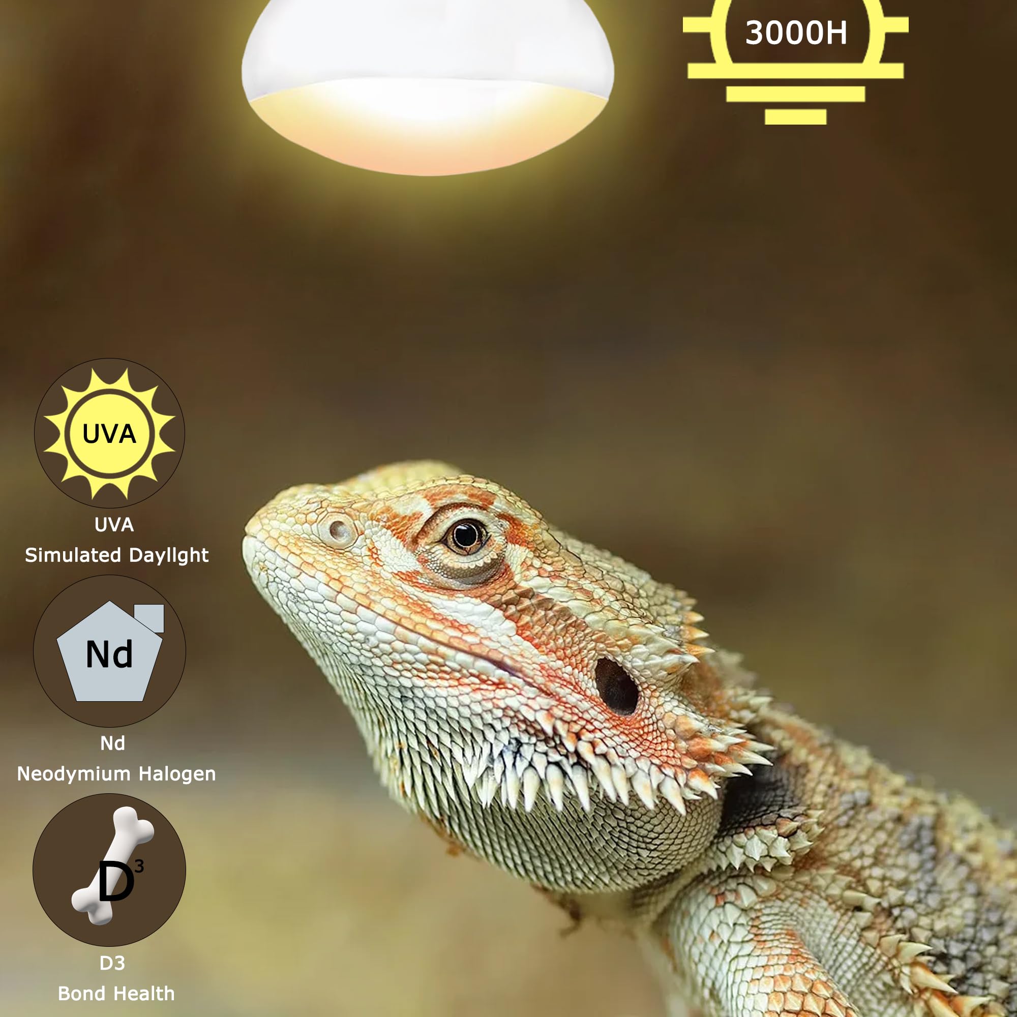 Hartompet 75W E26 Reptile Heat Lamp Bulbs - R63 Upgraded Uva Amphibian Basking Spot Light, Simulated Sunlight For Bearded Dragon