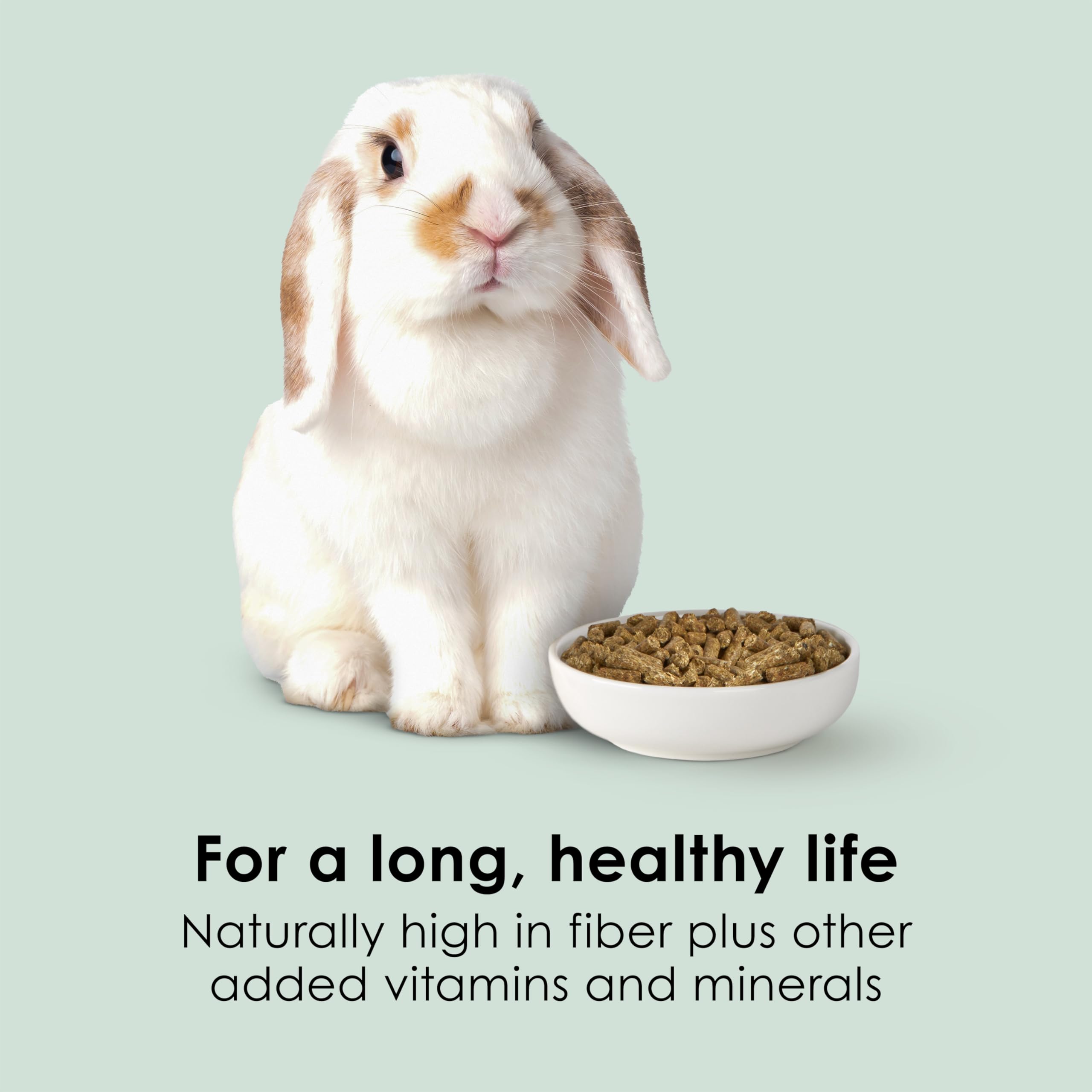Kaytee Timothy Complete Rabbit Food 4.5 lb