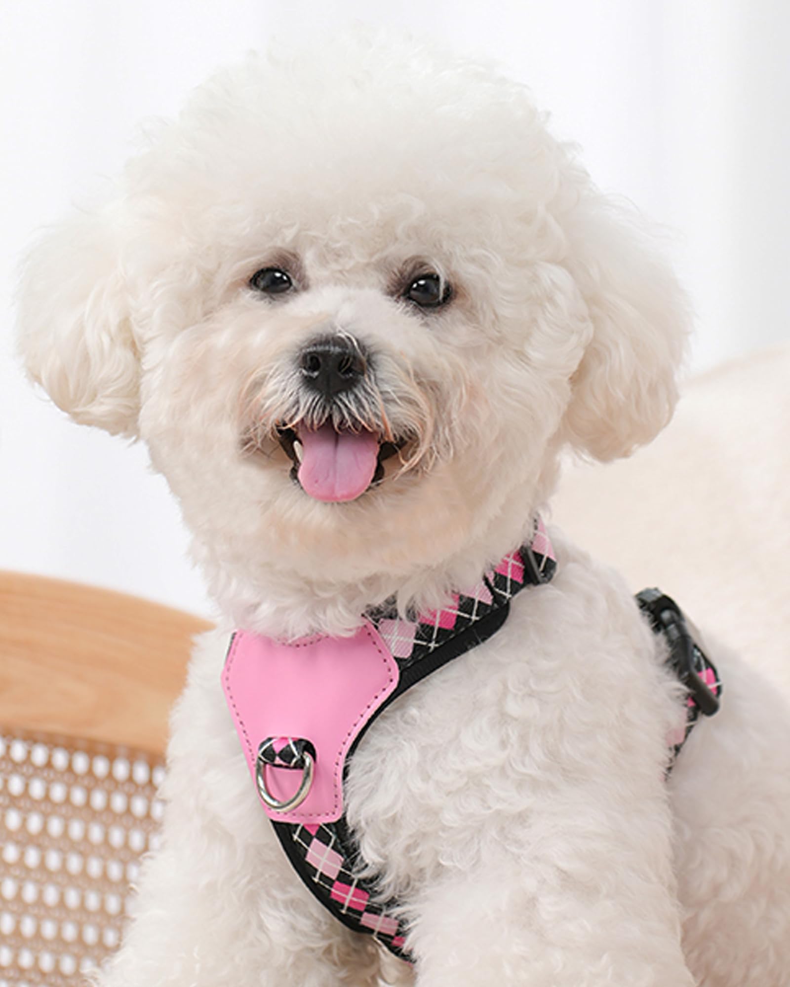 Black Small Dog Harness For Small Dogs, No Pull Dog Harness With 2 Leash Clips, Puppy Harness, Dog Vest Harness (Black, S)