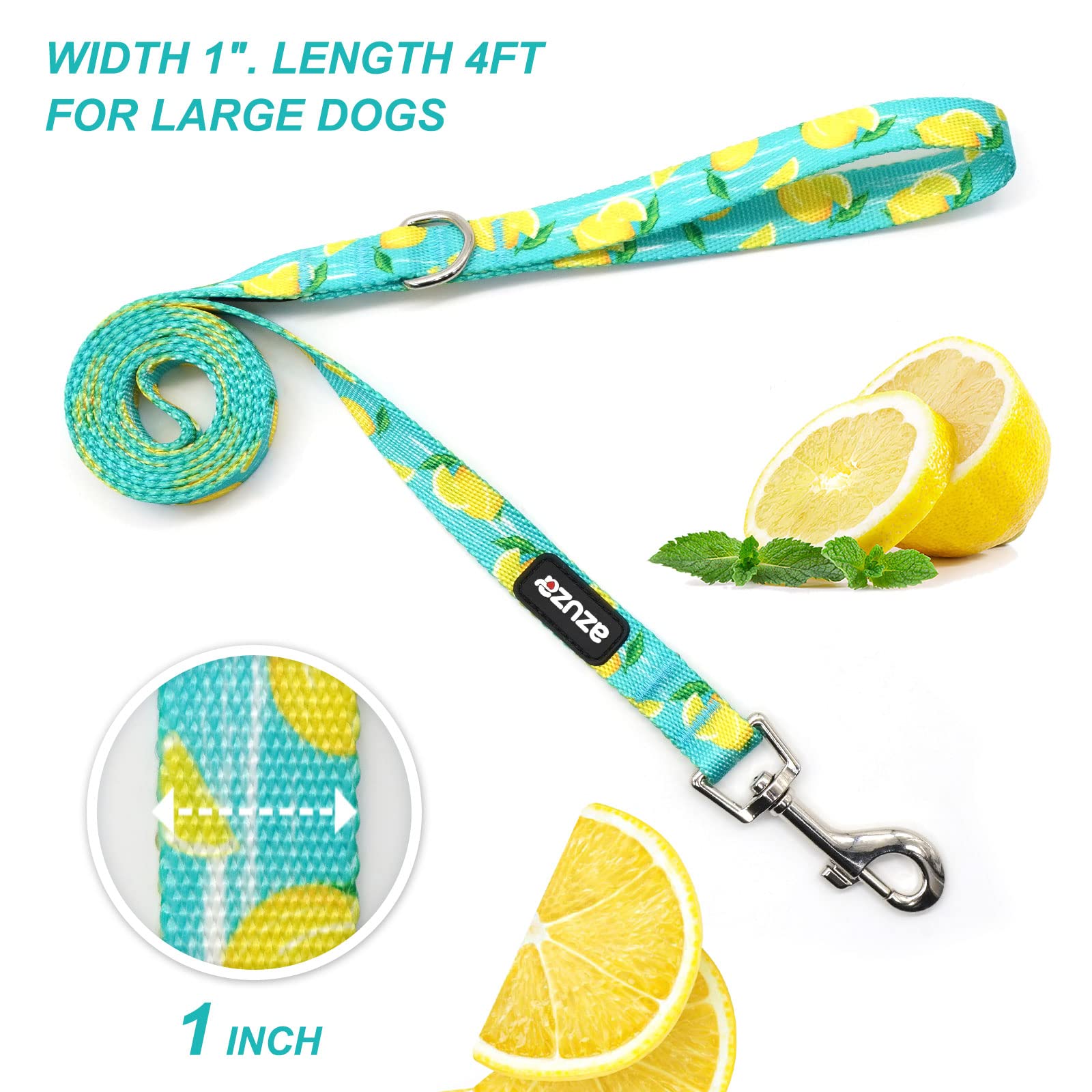 Azuza 3 Pack Fruit Design Nylon Dog Leashes Strong & Durable Basic Dog Leash With Easy To Use Collar Hook For Large Dogs, L (4Ft