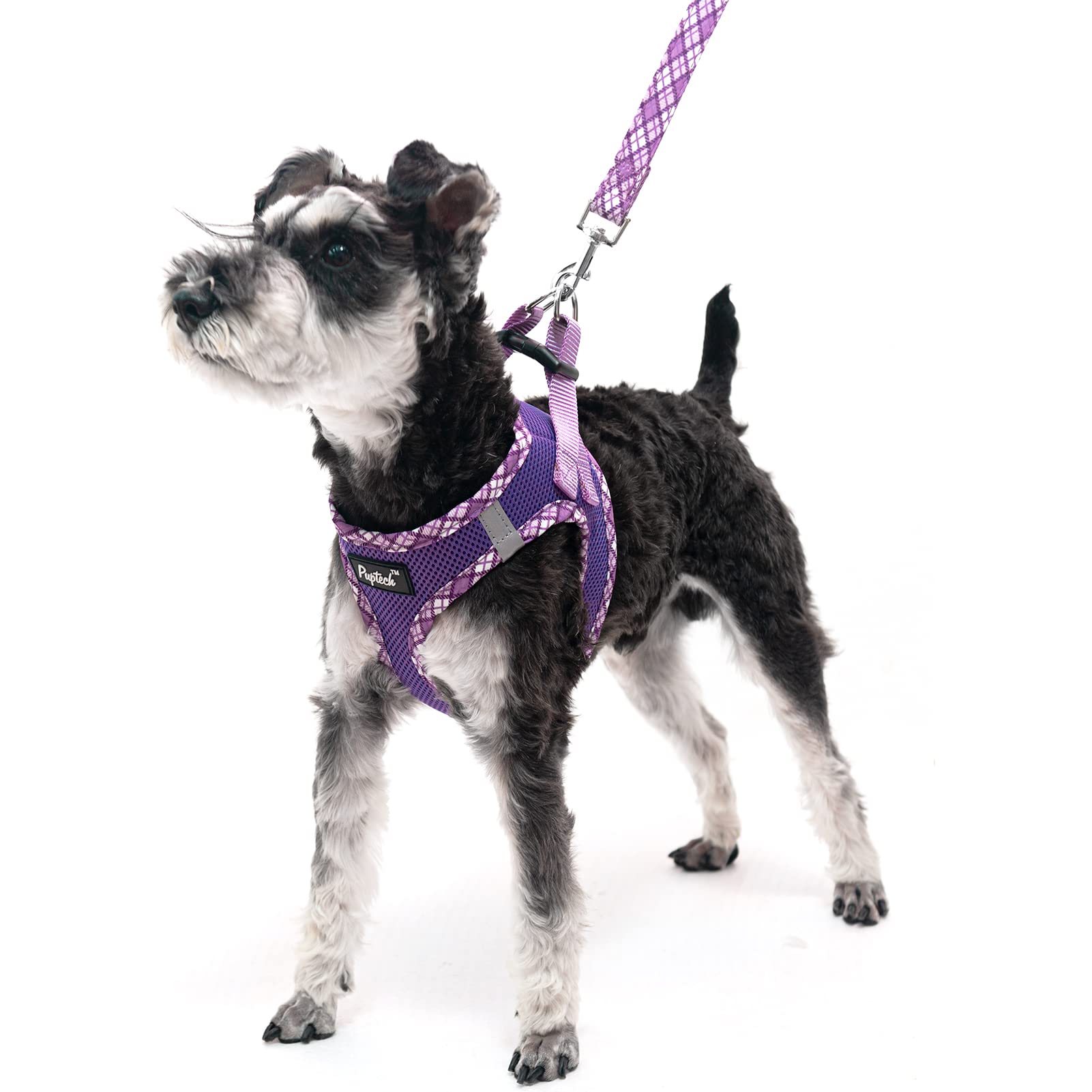 Pupteck Dog Harness And Leash Set For Small Medium Dogs No Pull Step-In Soft Mesh Puppy Cat Vest Harnesses Reflective At Night, Purple S