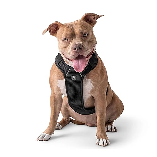 Gf Pet Travel Harness - Black - M