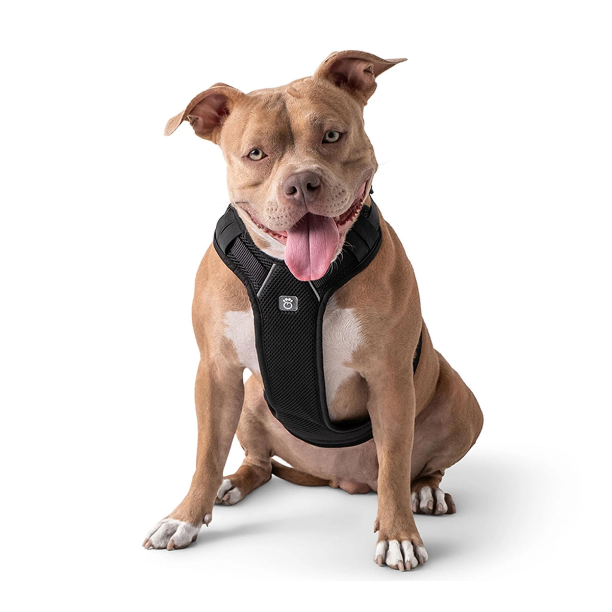 Gf Pet Travel Harness - Black - 2Xs