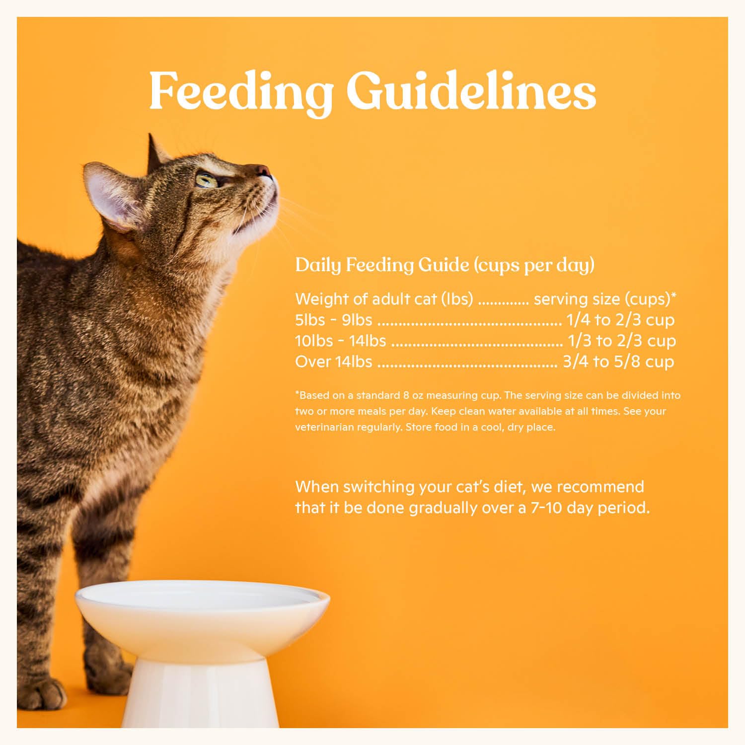 Made by Nacho Dry Cat Kibble 4lb Bag, High Protein Premium Cat Food with Freeze Dried Pieces, Cage-Free Chicken & Duck, Limited