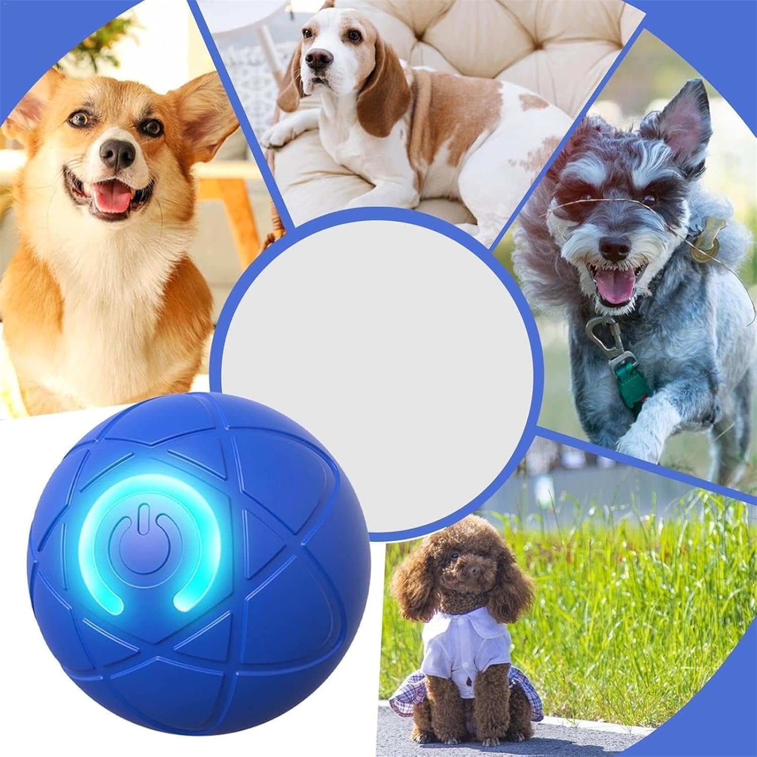 HEDGAUCP Orange and Blue Dog Toy Ball, Vibrating and Automatic Moving,Vibrating Ball for Dogs, Automatic Moving Toy, Shaky Dog f
