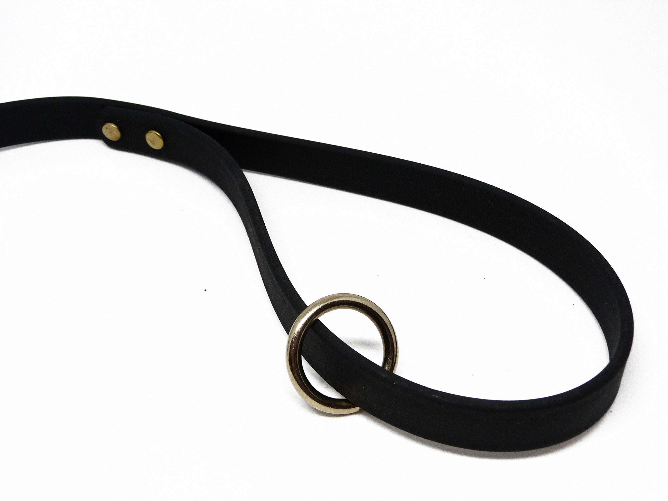 Jim Hodges Dog Training Gummy Dog Leash, Biothane, Dog Training Leash, Waterproof, Weatherproof, 6 Foot Length For Small, Medium