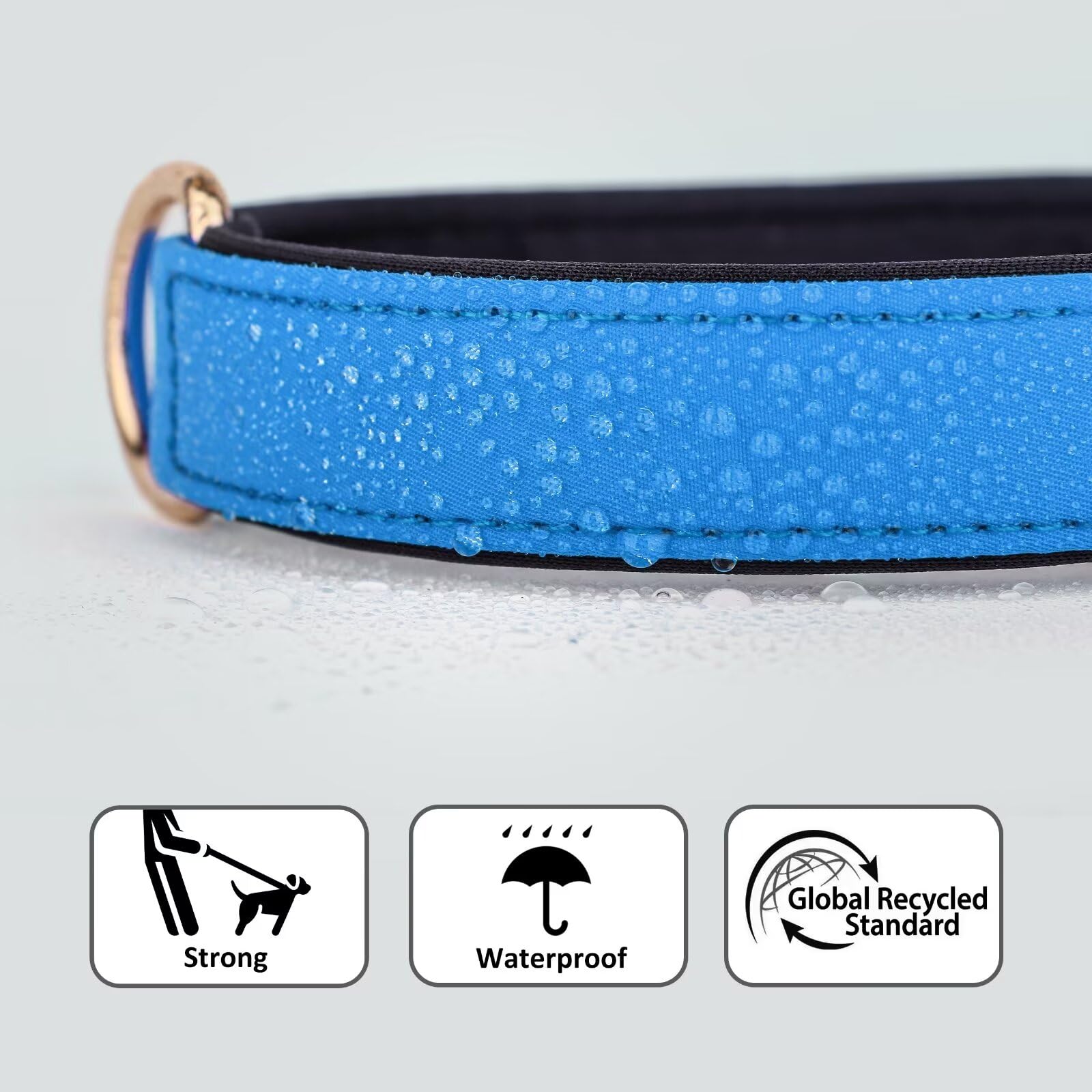 Didog Soft Padded Dog Collars For Medium Dogs, Lightweight And Breathable Dog Collar Waterproof With Metal Buckle, Blue, M