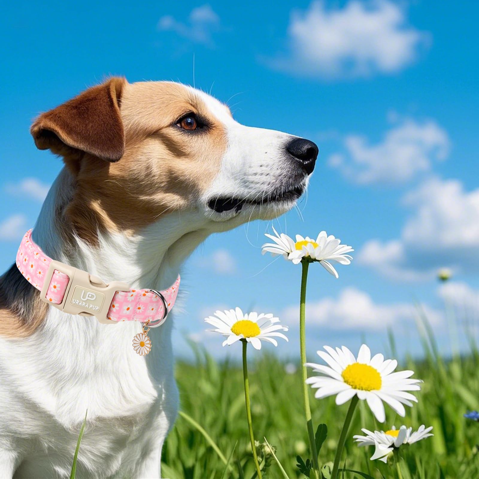Up Urara Pup Pet Collar-Summer Daisy Dog Collars-Pink Grid Puppy Collar-Adjustable, Sturdy & Cute Girl Boy Dog Collars For Outdo