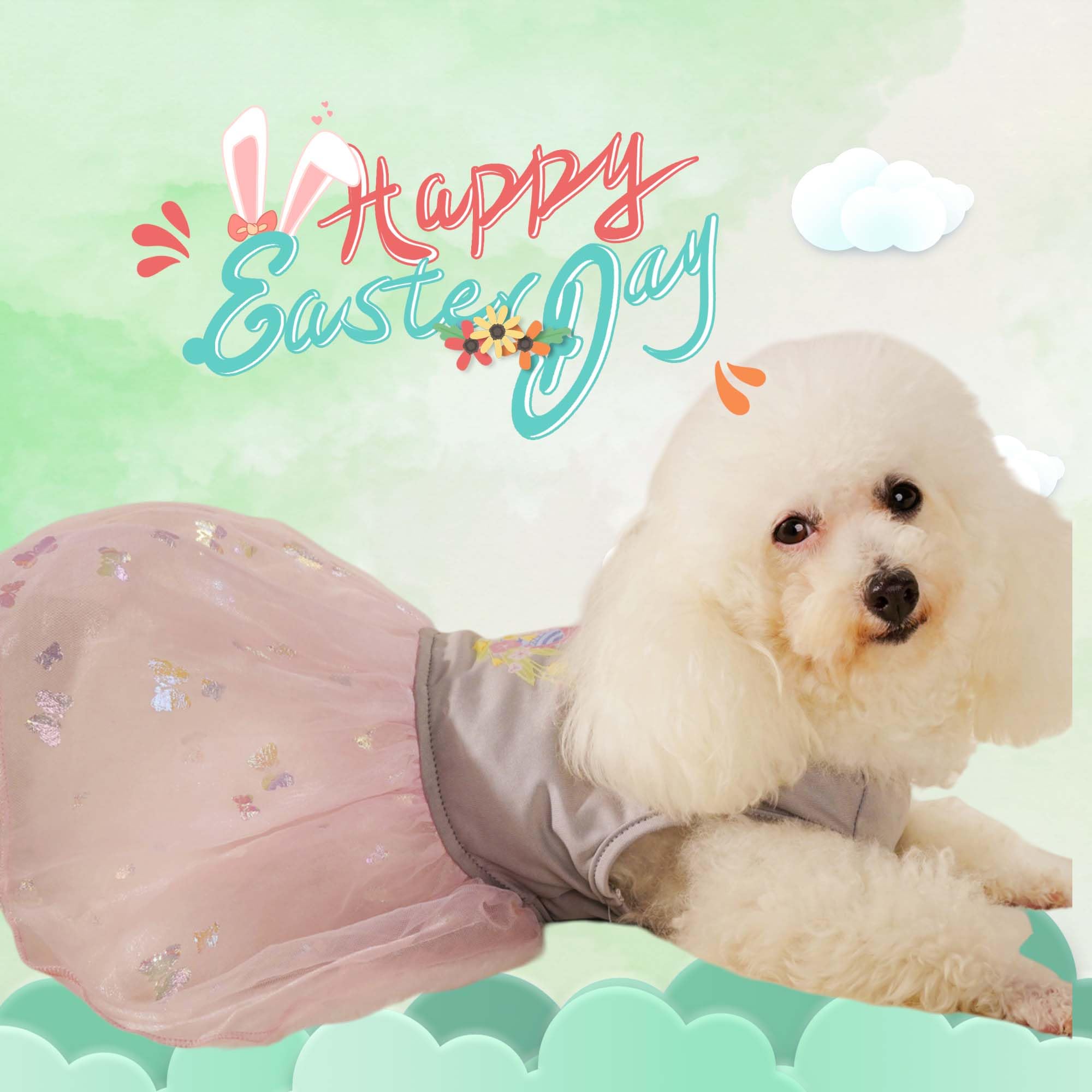 Muyaopet 2 Packs Happy Easter Dog Dress,Rabbit Easter Egg Pet Cat Puppy Dresses Tutu Skirt,Summer Small Dog Girl Shirt Clothes B