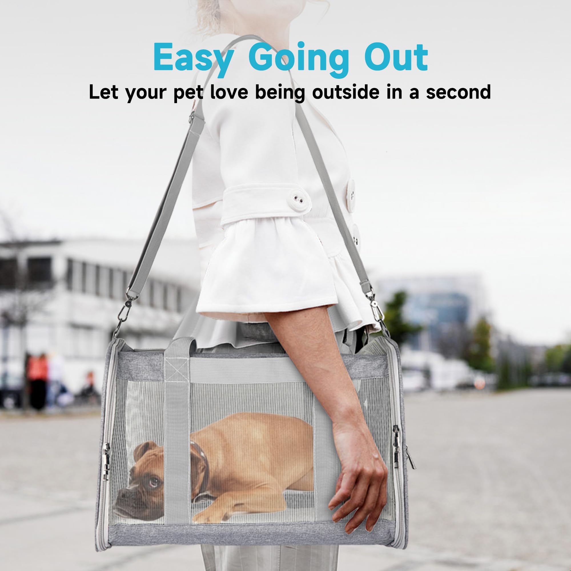 Atvobiy Portable Pet Carrier For Small To Medium Cats & Puppies - Soft, Airline Approved (Large, Grey)