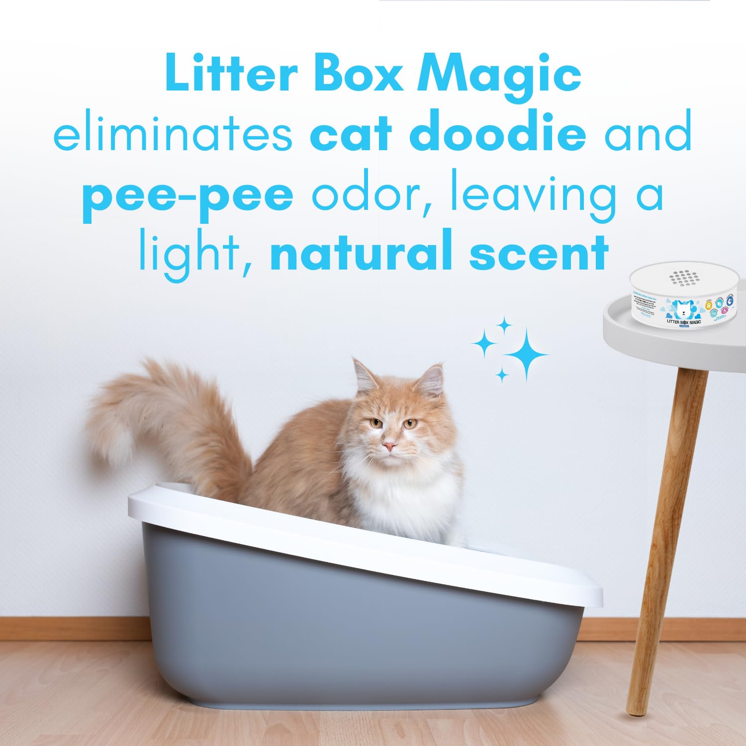 Litter Box Magic Cat Litter Deodorizer Jar (Fresh Scent, 16 Oz, Pack Of 2) - Cat Litter Odor Absorber Gel In A Jar - Litter Box