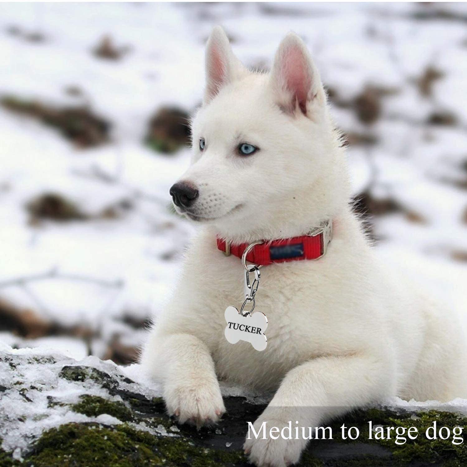 Ivia Dog Tag Clips / 2 Pack/Multiple Size 304 Stainless Steel Quick Clip With Rings/Easy Change Dog Cat Id Tag Holder For Small