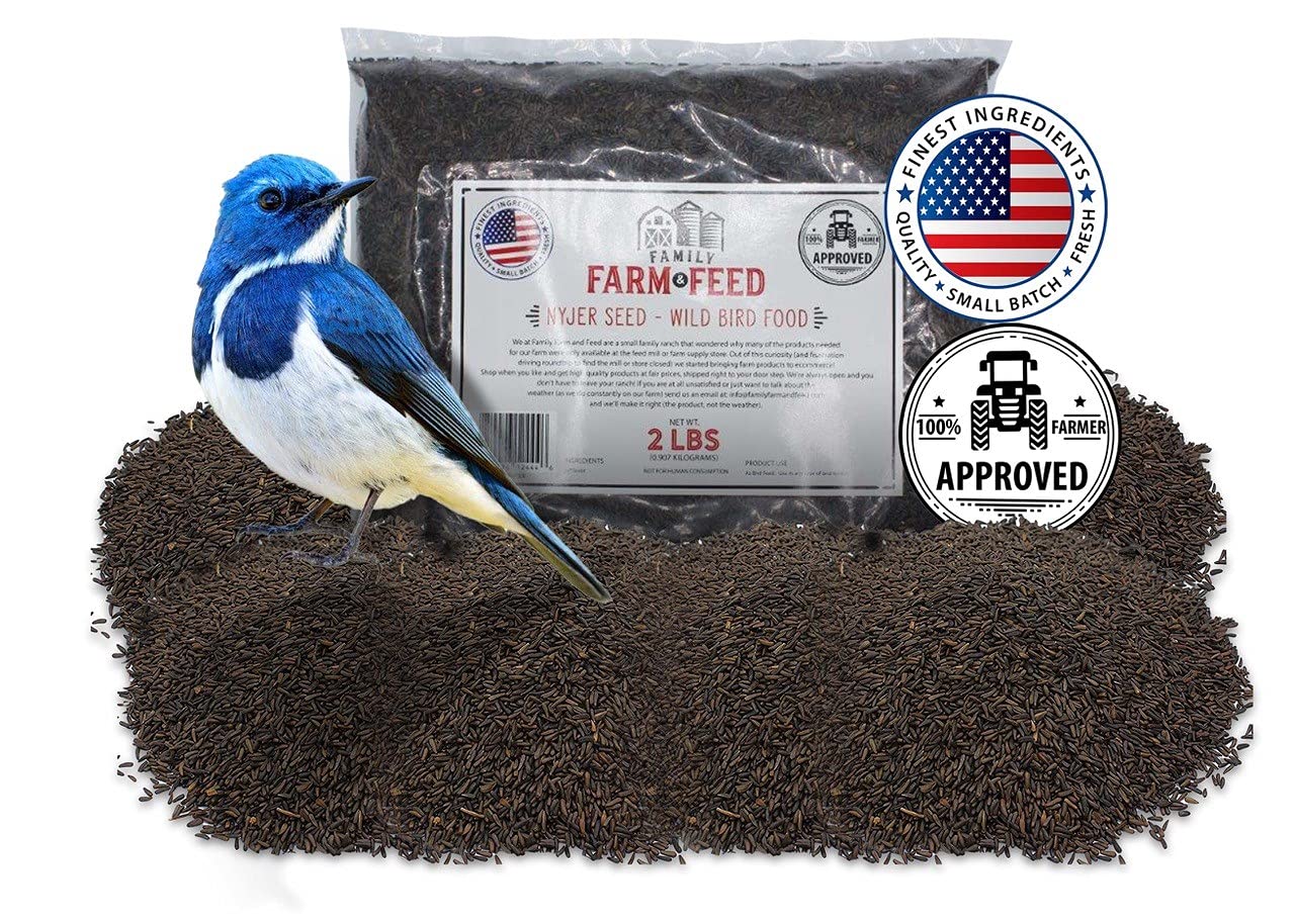 FAMILY FARM AND FEED | Four Seasons | Nyjer Seed | Wild Bird Food | Backyard Songbird | 2 Pounds