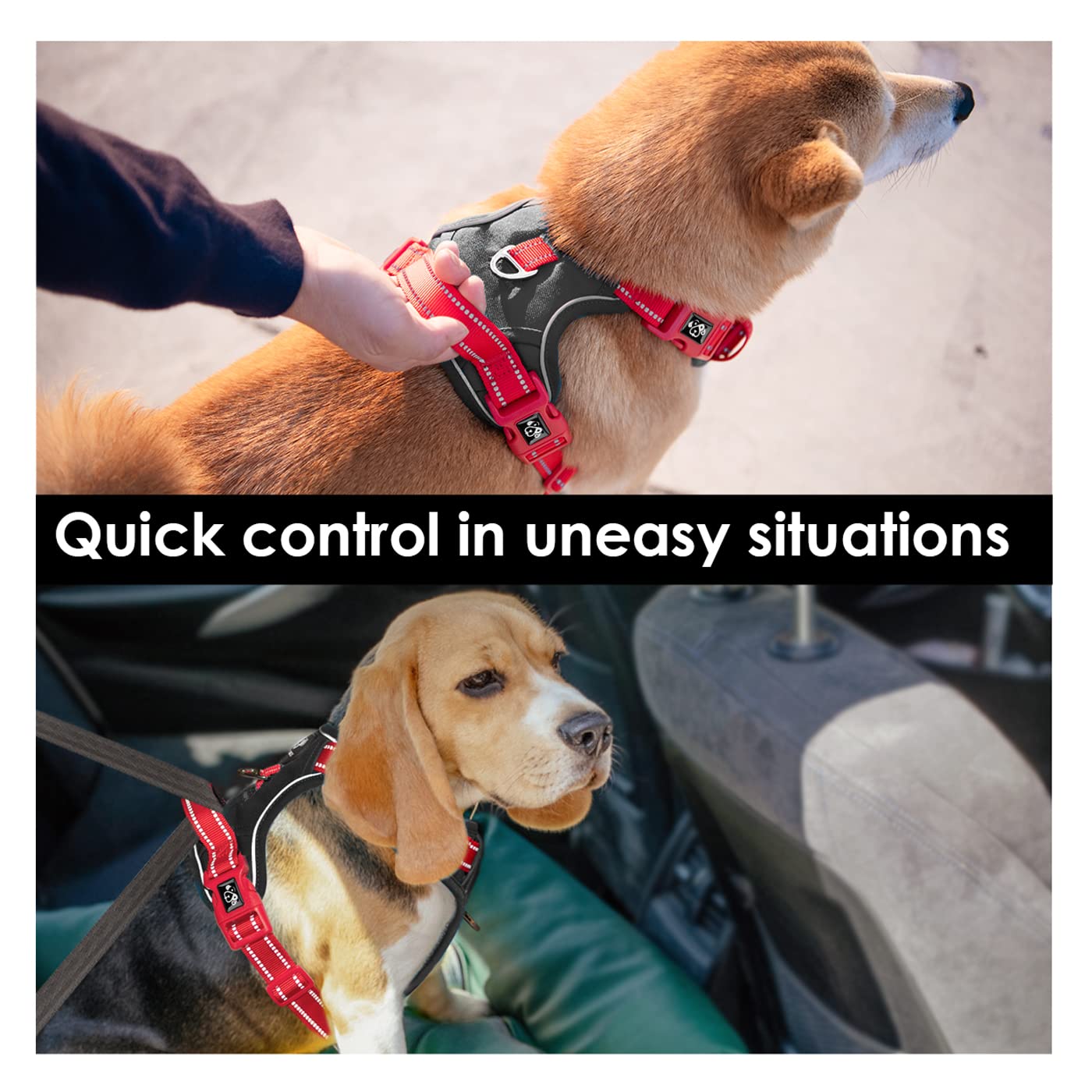 Phoepet No Pull Dog Harness, Unique Colors Reflective Adjustable Dog Vest, With Soft Training Handle Metal Clips For Small Mediu