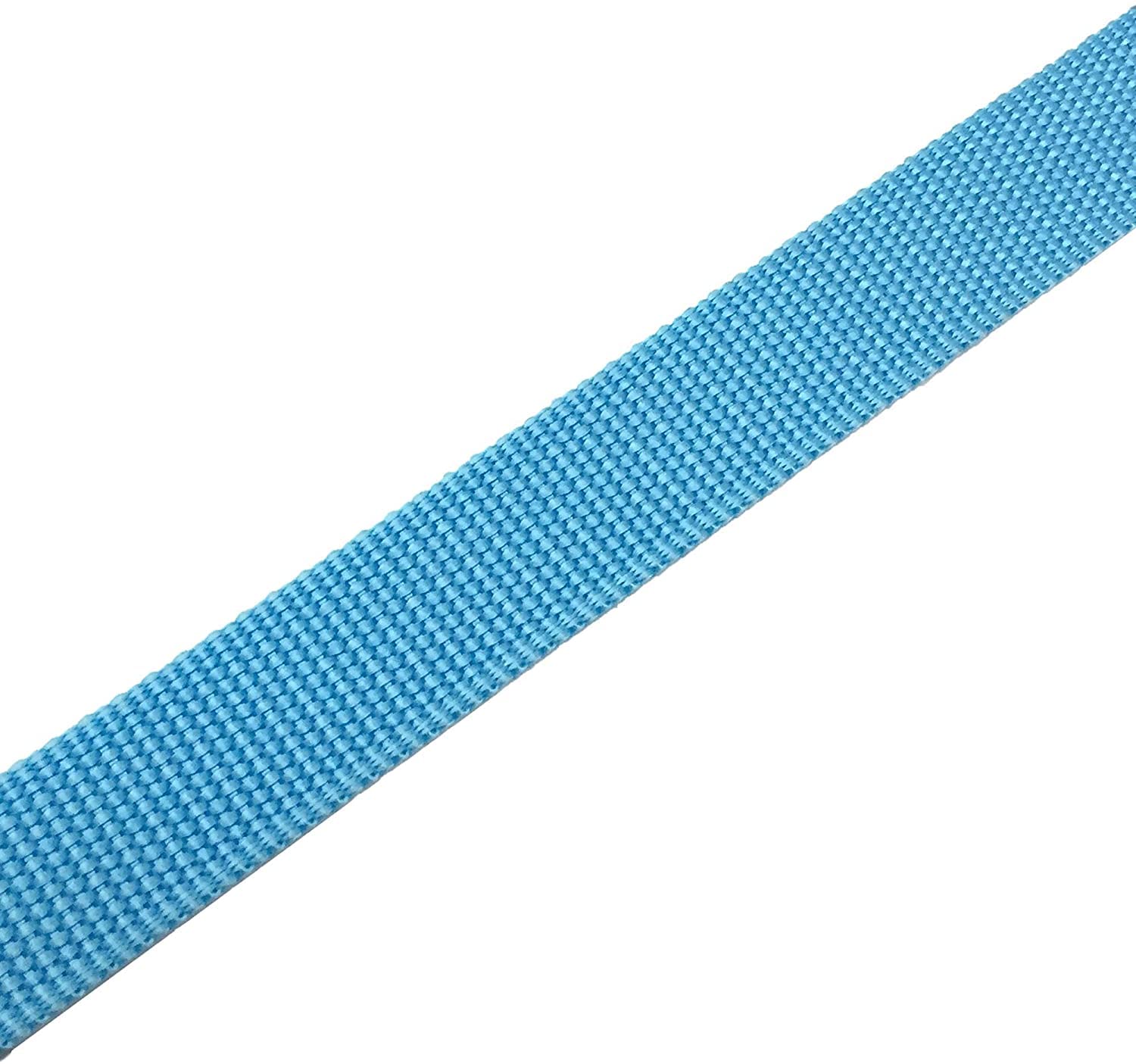 Taian 4Ft/5Ft/6Ft Strong Dog Leash, Nylon Dog Leashes For Small Medium Large Dogs (Blue, 1 In X 15 Ft)