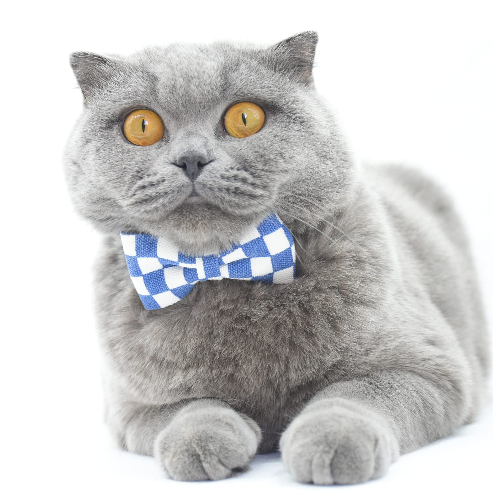 Bowtie Cat Collars Breakaway With Bell, Adjustable Cute Kitty Collars Safety Buckle Kitten Collar For Cat Puppy 7.5-11In (Blue P