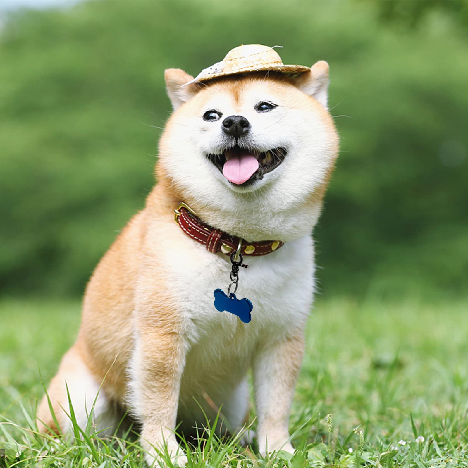 Dorui Dog Tag Clips 2 Pack Easy Change For Pet Id Tag Quick Clips Small Medium Large Dogs And Cats Collars|Black|