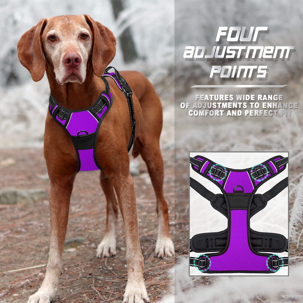 Barkbay No Pull Dog Harness Front Clip Heavy Duty Reflective Easy Control Handle For Large Dog Walking(Purple,M)