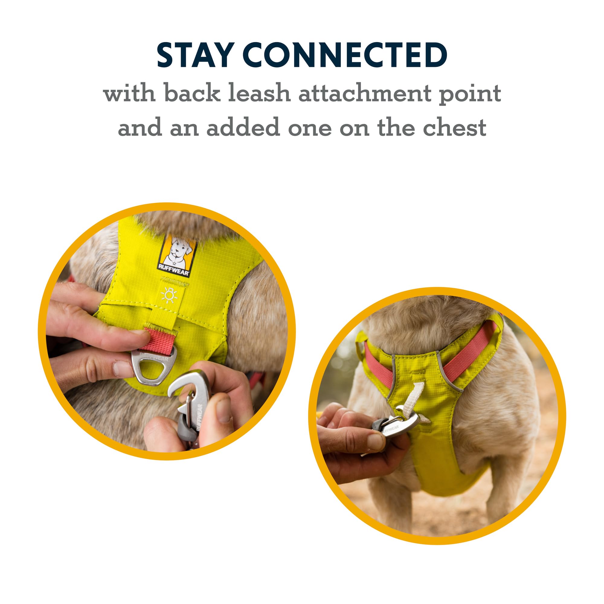 Ruffwear, Hi & Light, Everyday Lightweight Dog Harness, Trail Running, Walking, Hiking, All-Day Wear, Basalt Gray, XX-Small