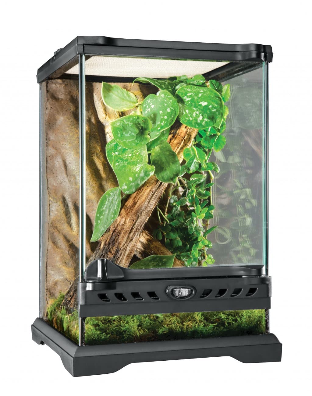 Exo Terra Glass Natural Terrarium Kit, For Reptiles And Amphibians, Nano Tall, 8 X 8 X 12 Inches, Pt2601A1