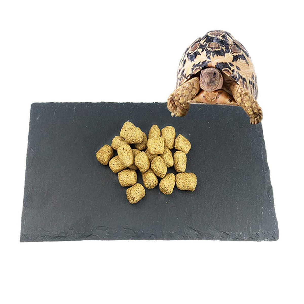 Tfwadmx Reptile Basking Platform, Tortoise Feeding Dish, Natural Rock Reptile Food Bowl Landscape Habitat Decor for Turtle Lizar