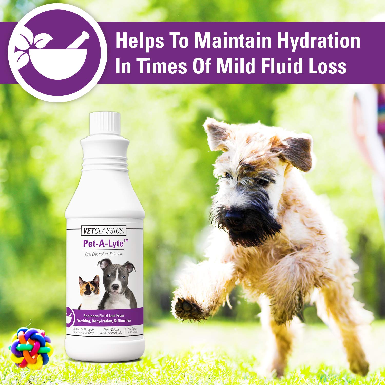 Vet Classics Pet-A-Lyte Oral Electrolyte Solution for Dogs and Cats - Helps Replace Fluids Lost from Pet Dehydration, Diarrhea,
