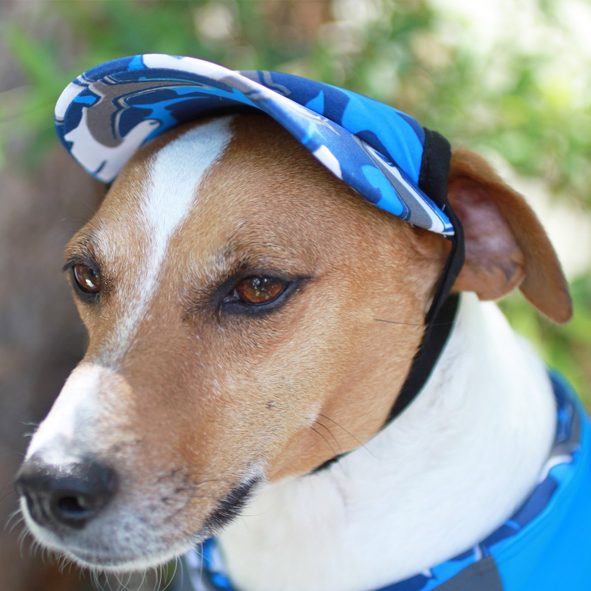 PlayaPup Sun Protective Dog Visor, Emerald, Large