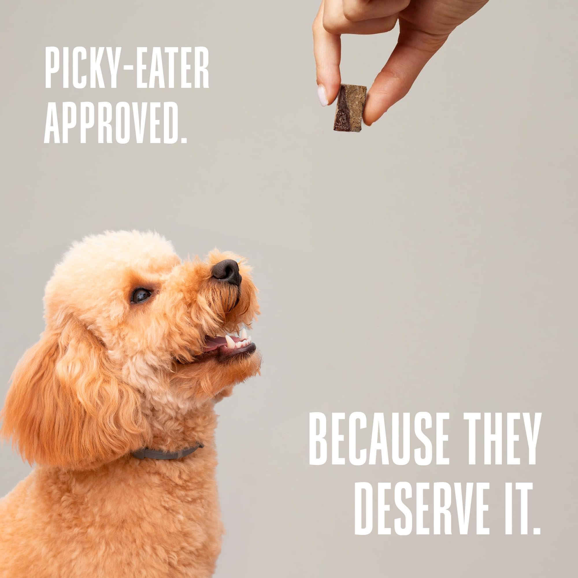 Whole Life Dog Just One Beef Liver Freeze Dried Dog Treats - Human Grade High Protein Food, Healthy Training Snacks, Freeze Drie