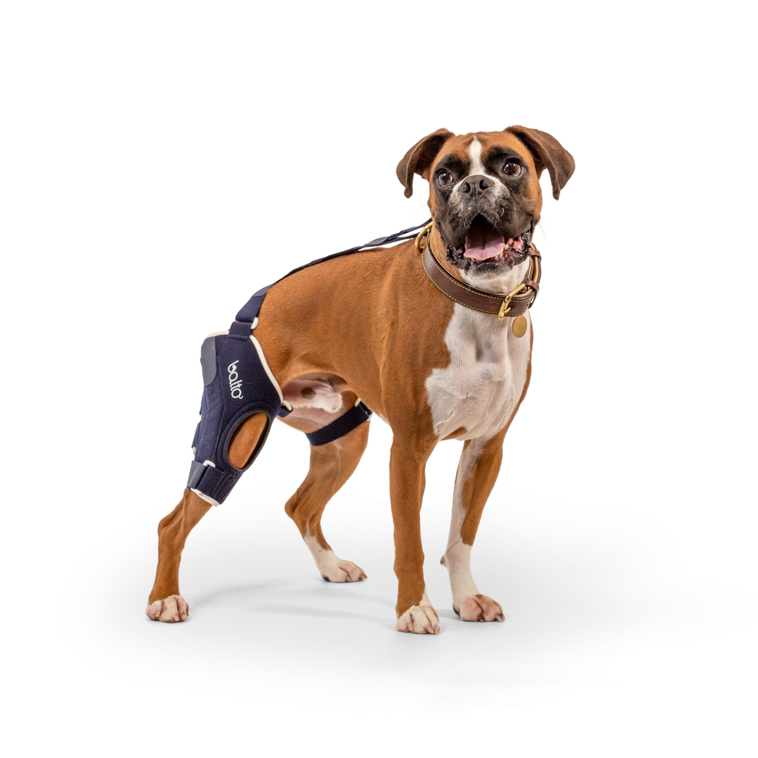 Balto Jump CCL Brace - Dog Knee Brace with Aluminum Splints - Pre/Post Surgery Support Helps Prevent New Injuries - Right Leg, L