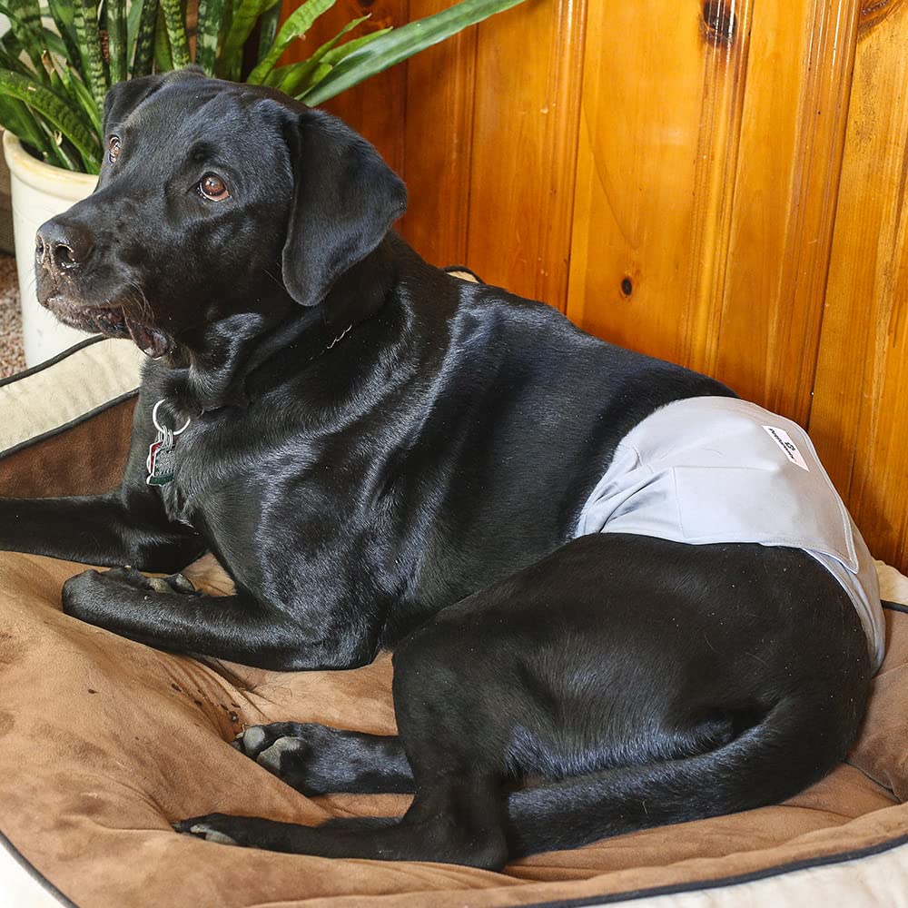 Pet Parents Premium Washable Belly Bands for Male Dogs & Extendrs, (3pack) of Male Dog Diapers & Male Dog Belly Bands, Color: Na