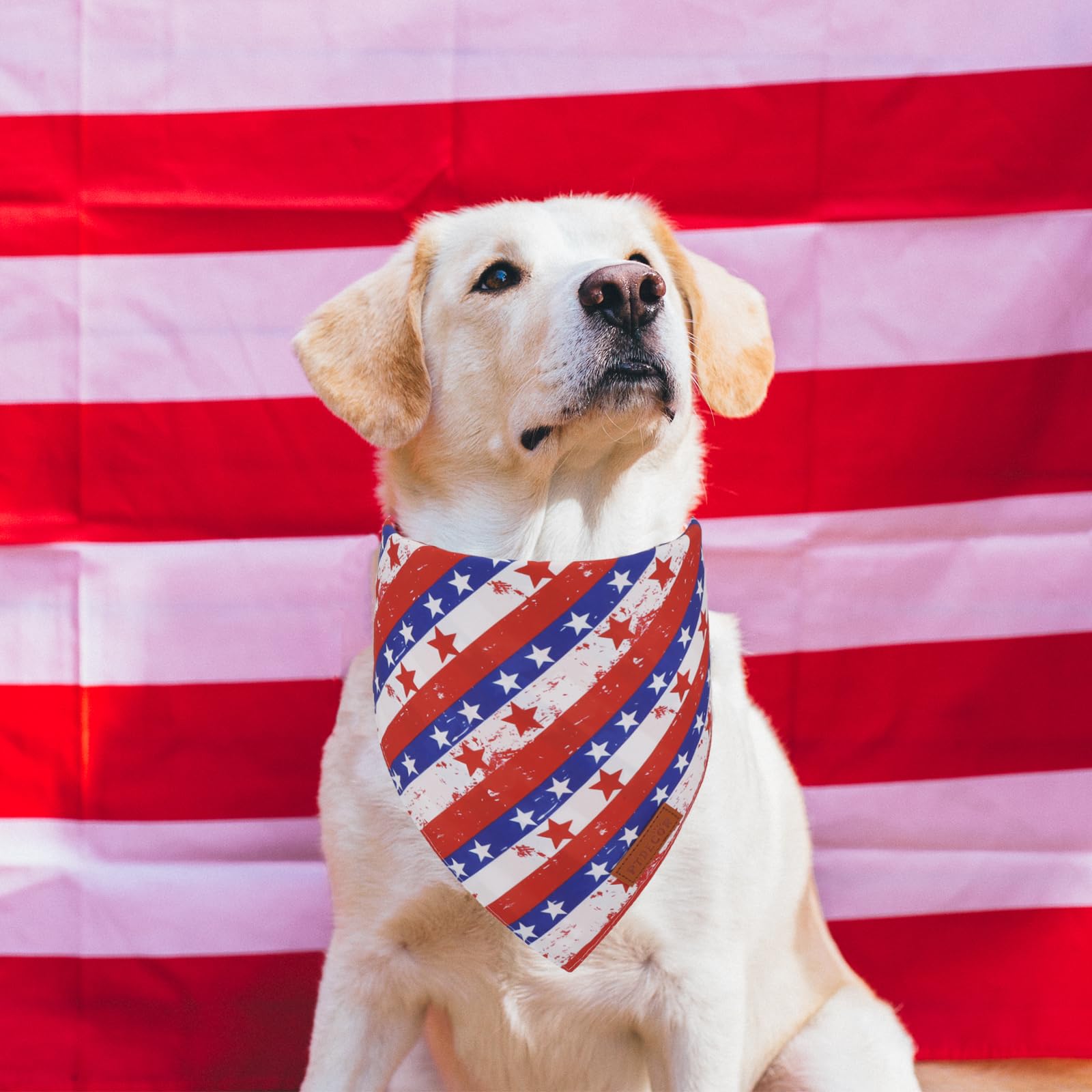 Ptdecor American Flag Dog Bandana Striped Stars Patterns, 4Th Of July Pet Scarf Reversible Triangle Patriotic Bandanas For Mediu