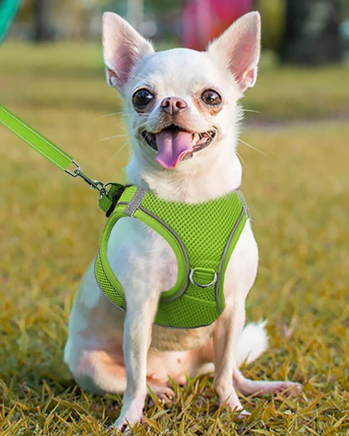 Joytale Small Dog Harness, Breathable Mesh Step-In Vest, Reflective Soft Padded Harnesses For Puppies And Extra Small Dogs, Gree