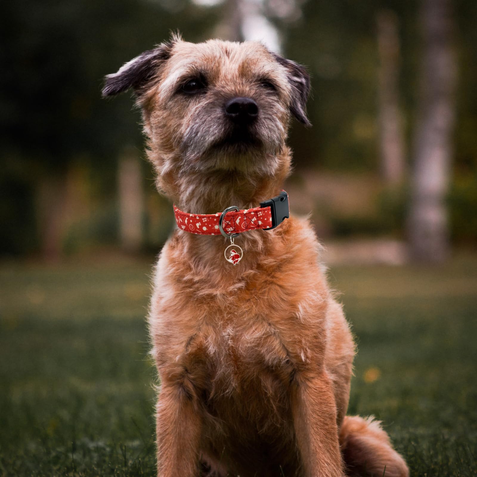 Christmas Dog Collar With Pendant, Durable And Soft Cotton Dog Collars For Small Large Female And Male Dogs Pets(Christmas L)